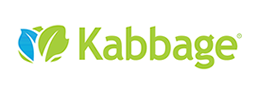 Kabbage online loans for Amazon and eBay sellers