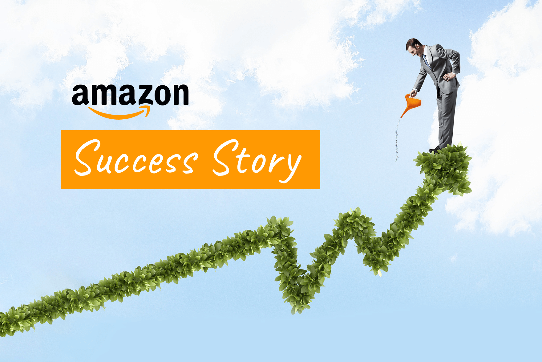 Amazon Success Story