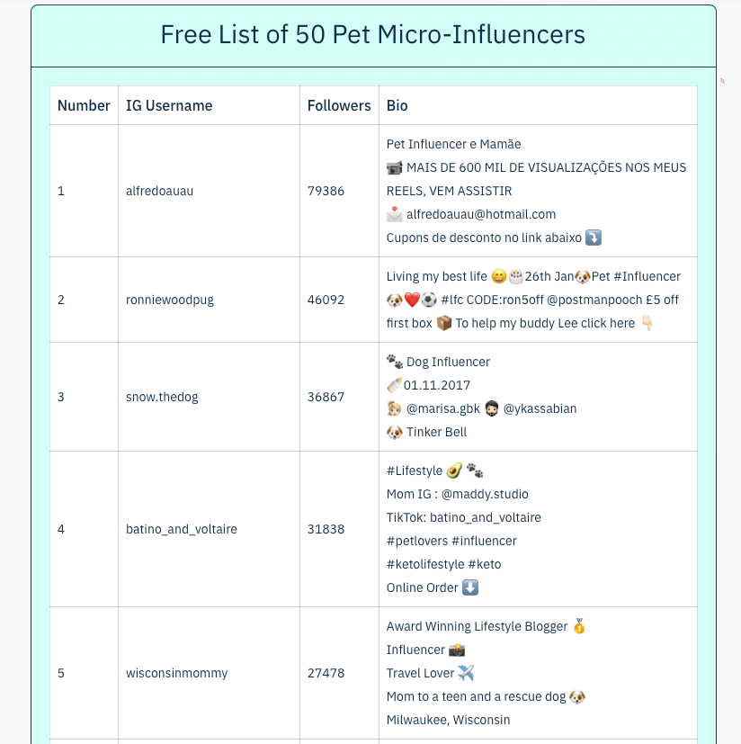 small pet influencers at influencers club